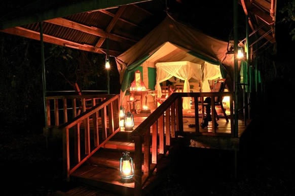 Gombe Forest Lodge Tanzania